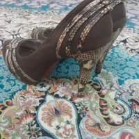 کفش مجلسی در حدنو|کیف، کفش، کمربند|تهران, اکباتان|دیوار
