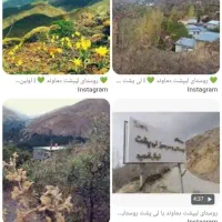 زمین-ویلایی-فروشی
