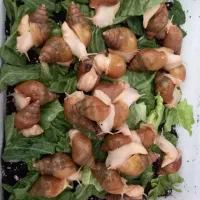 حلزون آلپاچینو و آچاتینا