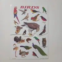 عکس برگردون نوستالژی|کلکسیون و سرگرمی|تهران, سهروردی|دیوار