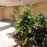 خانه-ویلای-375متری