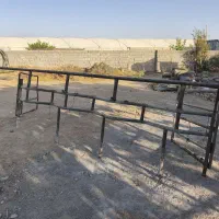 گاو
