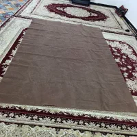 موکت 6 متری درحدنو