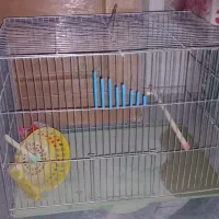 ۳عدد قفس پرنده