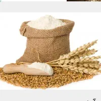 آرد سنگک