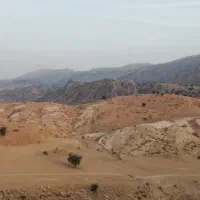 فروش 14 هزار متر زمین برا طرح درخت و مرغداری