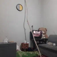 چوب گردو زنی