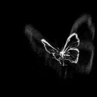 سامسونگ A52s درحد