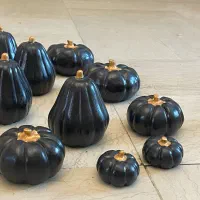 کدو مشکی پودر سنگ