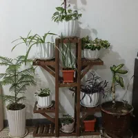 استندگل رگال لباس جاکفشی|صنایع دستی و سایر لوازم تزئینی|فامنین, |دیوار