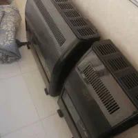 2عددبخاری آدنیس