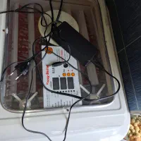 دستگاه جوجه کشی ۹۶ تایی