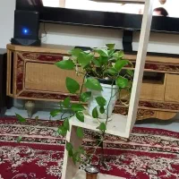 دکور خونه|کتابخانه، شلف، قفسه‌های دیواری|چالوس, |دیوار