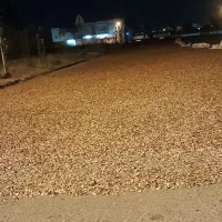 تخمه هندوانه درجه یک