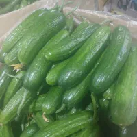 شاگرد برای میوه فروشی