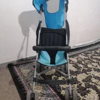 کالسکه عصایی