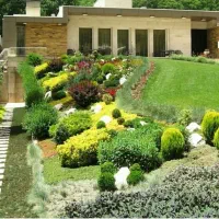 خدمات نظافت ، احداث و نگهداری فضای سبز، سم پاشی|خدمات باغبانی و درختکاری|هچیرود, |دیوار