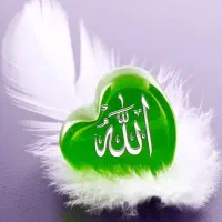 کارت ملی گم شده