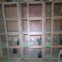 قفس جفت کن چوبی 4 طبقه کبوتر مرغ و خروس