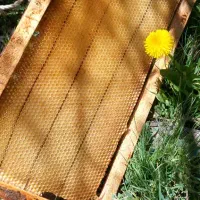 لوازم زنبورداری