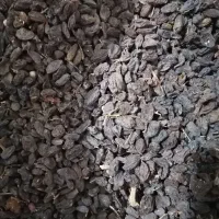 کشمش افتابی|خوردنی و آشامیدنی|یزد, |دیوار