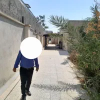 اجاره منزل مسکونی|اجارهٔ خانه و ویلا|جیرفت, |دیوار