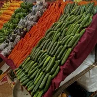 شاگرد میوه استا کار