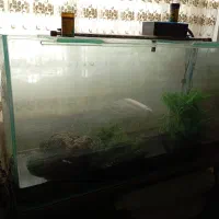 آکواریوم کوچیک و بزرگ