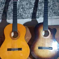 گیتار کلاسیک پرنس ، آلیک