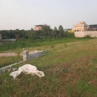 فروش زمین در شهرک 4هکتاری سند دار|فروش زمین و ملک کلنگی|امامزاده عبدالله, |دیوار