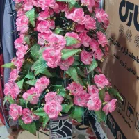 گل و درختچه ی بسیار زیبا و استفاده نشده