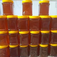 عسل ژل رویال گرده گل|خوردنی و آشامیدنی|مشهد, حجت|دیوار