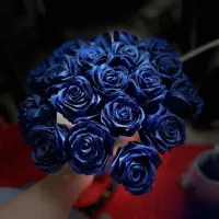 گل ربانی|گل مصنوعی|مشهد, عامل|دیوار