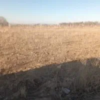 فروش ۵ هکتار زمین بکر در روستای قمیک بزرگ