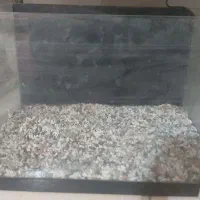 گلدان واکواریوم