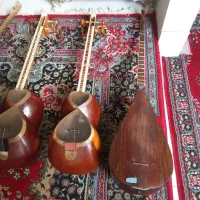 چگور قدیمی سلطانه چگور ها ماله زمان قاجار|سازهای سنتی|همدان, |دیوار