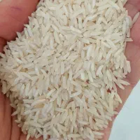 برنج پاکستانی گل ممتاز