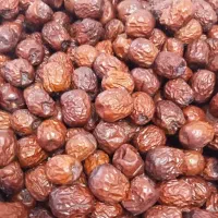 عناب دارویی فروشی کیلوی۲۰۰