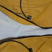 کاپشن درحدنو|لباس|نظرآباد, نظرآباد|دیوار