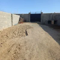 چوب درخت آلبالو