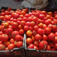 ارزانسرای میوه و تره بار بختیاری|خوردنی و آشامیدنی|فولادشهر, B7|دیوار