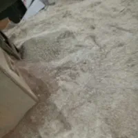 کبوتر خاک اره جعبه موزی|پرنده|زابل, |دیوار