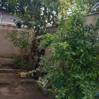 ویلا نقلی مدارک کامل/چند قدمی سپیدرود/مالک فروشنده|فروش خانه و ویلا|کیاشهر, |دیوار