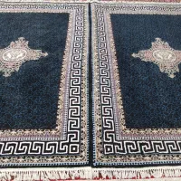 یک جفت ۶متری ۷۰۰شانه ورساچه