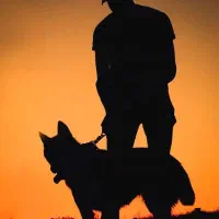 واگذاری سگ نگهبان