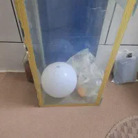اکواریوم