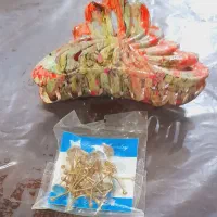 جاکلیدی انواع باطری وکلیپس|کلکسیون و سرگرمی|اهواز, گلستان|دیوار