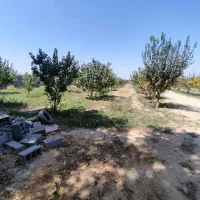زمین-شهریار