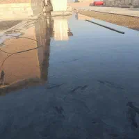 بتن لیسه‌ای با مال پروانه‌ای|خدمات پیشه و مهارت|کنارک, |دیوار