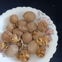 حراج گردوی ناب الشتر لرستان ...|خوردنی و آشامیدنی|قم, عمار یاسر|دیوار